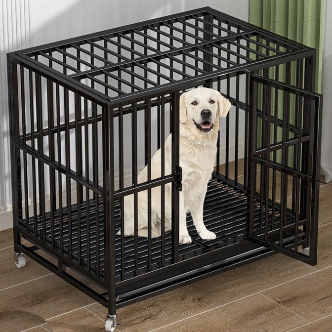 Cages pour animaux de compagnie durables et confortables pour chaque compagnon
