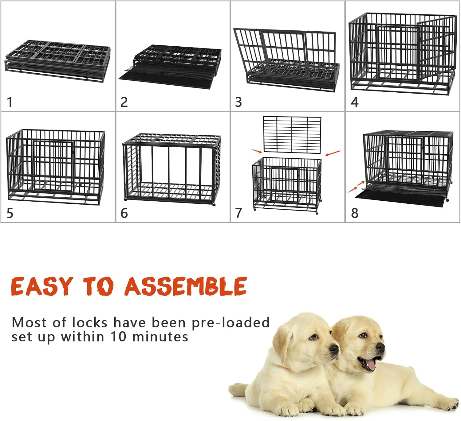 Cages d'animaux robustes et confortables pour votre compagnon bien-aimé